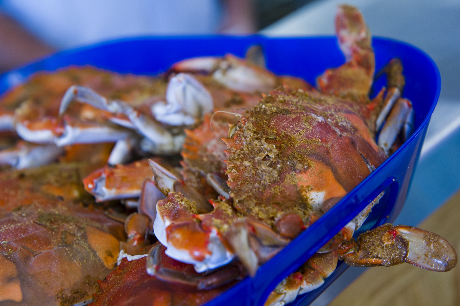 Seasoned steamed blue crabs served in a blue tray
